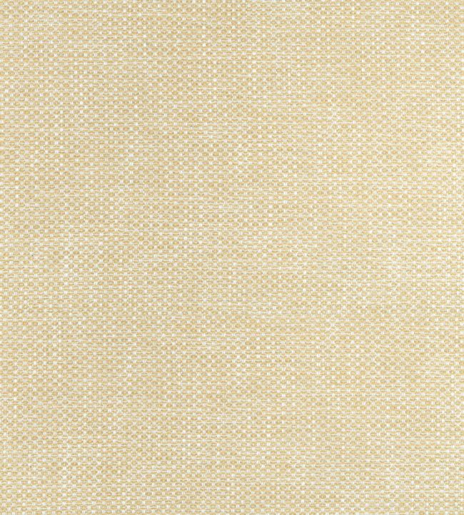 Cascade Fabric by Thibaut Straw