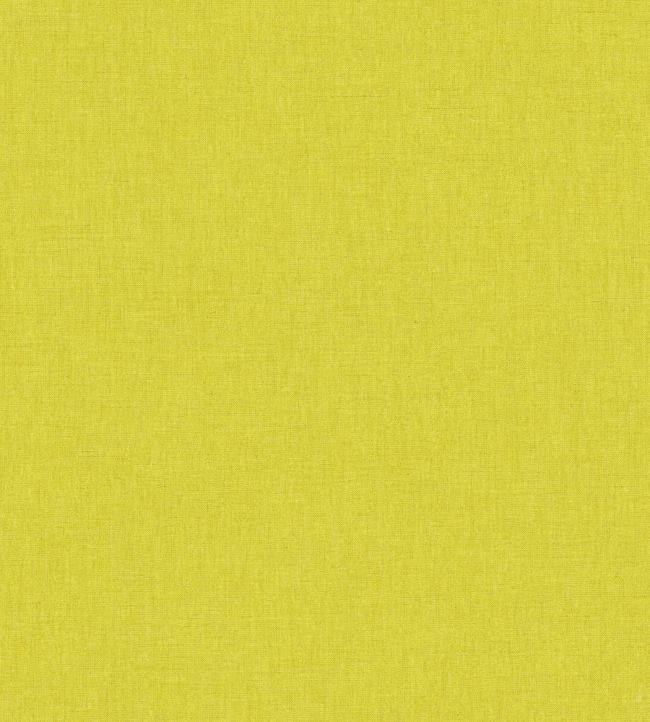Linen Uni Wallpaper by Caselio 7122