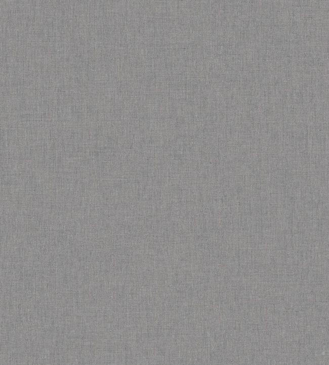 Linen Uni Wallpaper by Caselio 9350