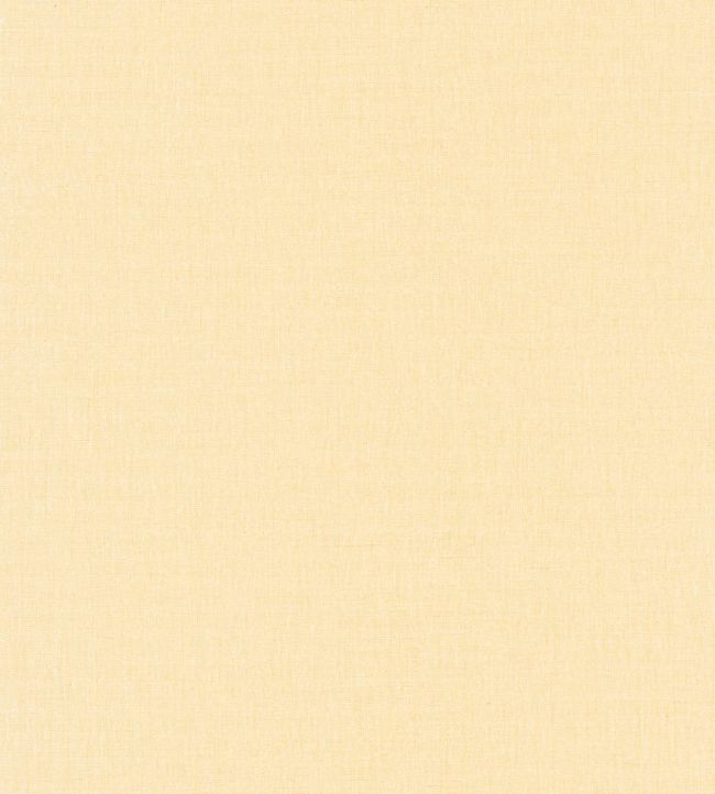 Linen Uni Wallpaper by Caselio 2259