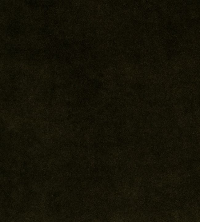 Cashmere Velvet Fabric by de Le Cuona Onyx