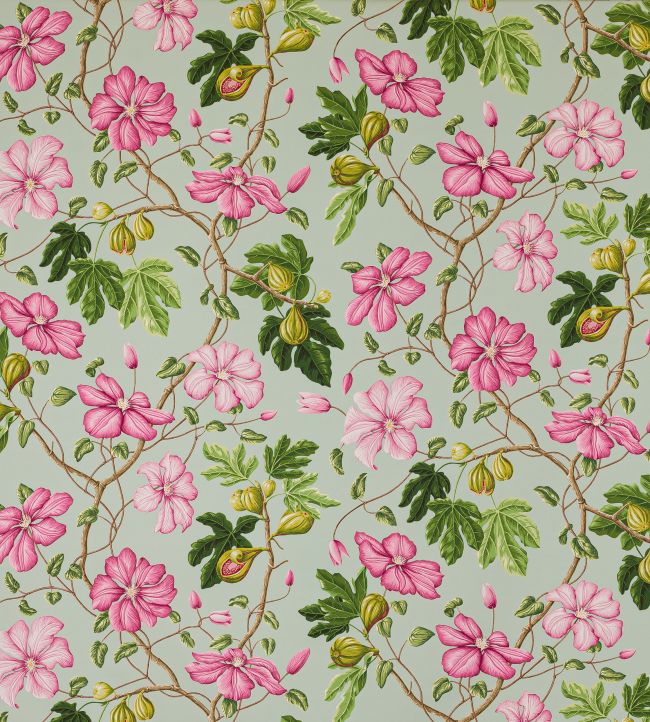Castellane Fabric by Manuel Canovas Rose/Aqua