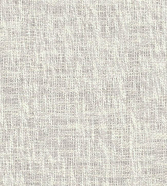 Cavazzo Fabric by Designers Guild Dove