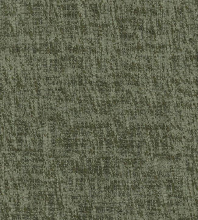 Cavazzo Fabric by Designers Guild Moss