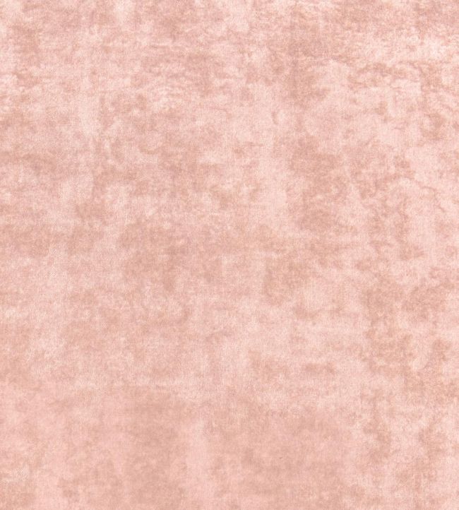 Celeste Velvet Fabric by Thibaut Blush