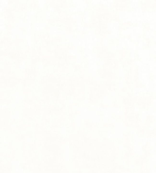 Celeste Velvet Fabric by Thibaut Ivory