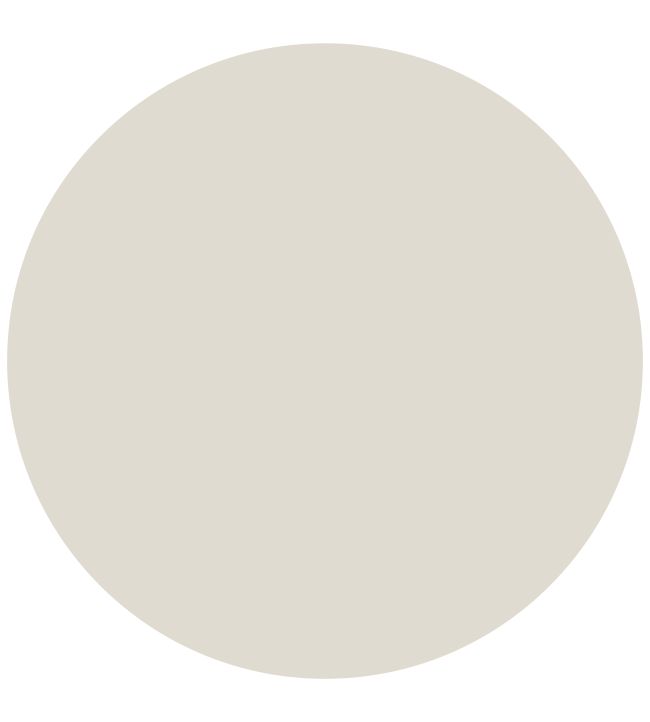 Chalky White Paint in Chalky White by Craig & Rose Jane Clayton