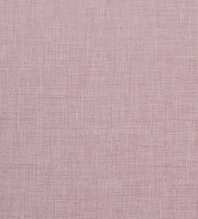 Albany Fabric by Clarke & Clarke Blush