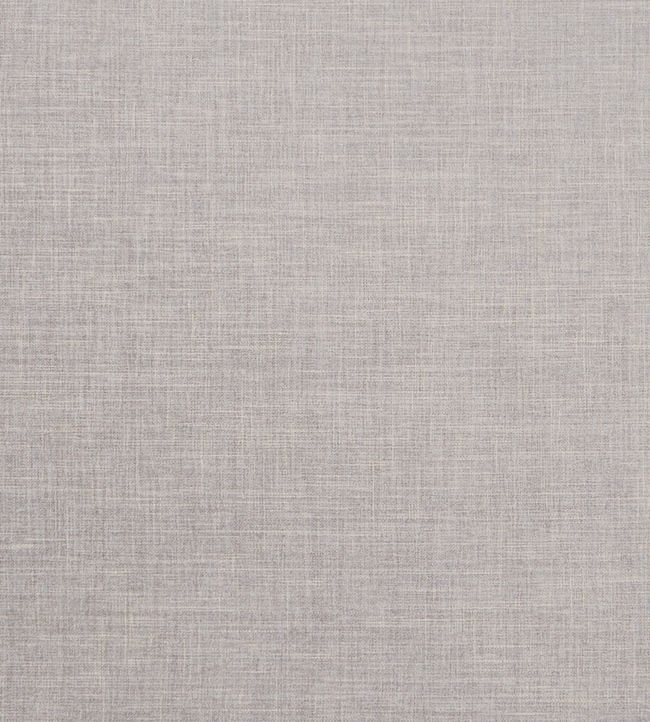 Albany Fabric by Clarke & Clarke Dove