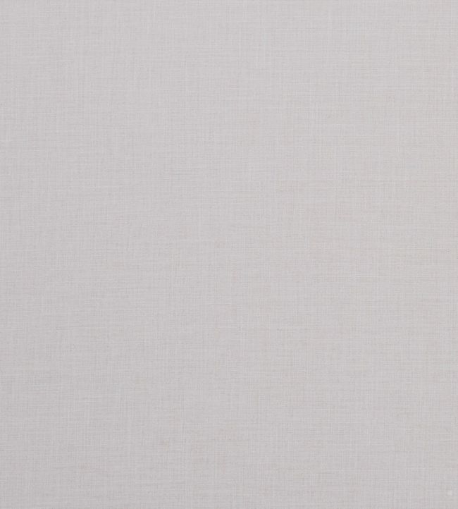 Albany Fabric by Clarke & Clarke Ivory