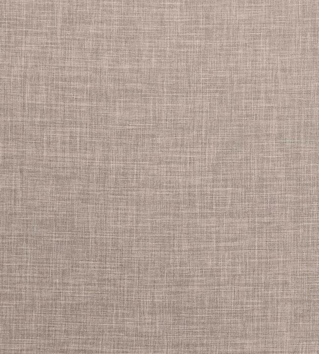 Albany Fabric by Clarke & Clarke Latte