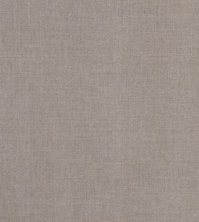 Albany Fabric by Clarke & Clarke Mink