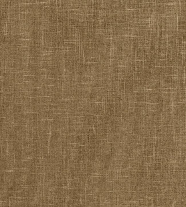 Albany Fabric by Clarke & Clarke Moss