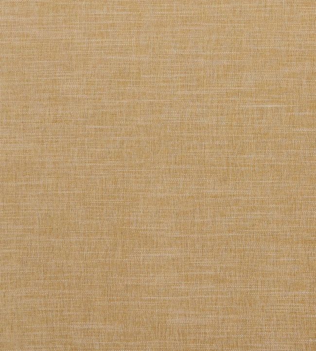 MorayFabric Fabric by Clarke & Clarke Antique