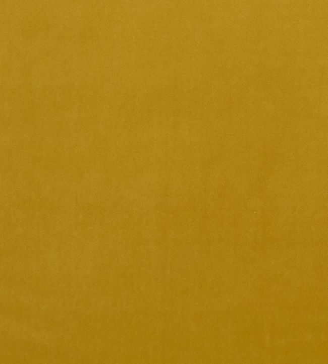 Alvar Fabric by Clarke & Clarke Honey