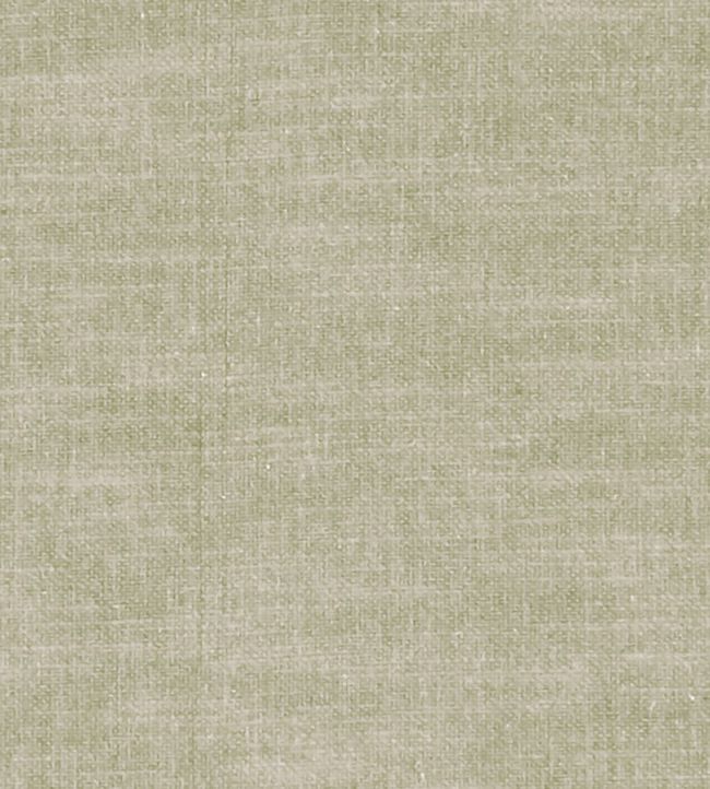 Amalfi Fabric by Clarke & Clarke Birch
