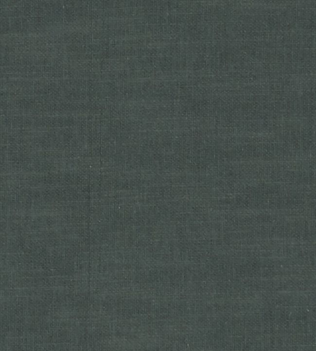 Amalfi Fabric by Clarke & Clarke Charcoal