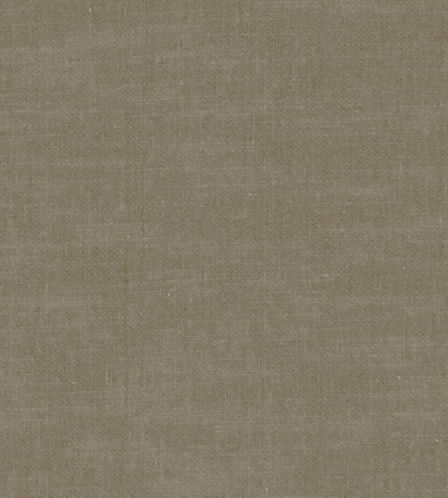 Amalfi Fabric by Clarke & Clarke Mink