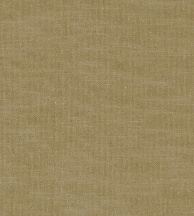 Amalfi Fabric by Clarke & Clarke Olive
