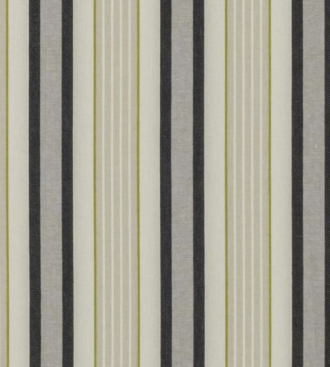 Belvior Fabric by Clarke & Clarke Charcoal/Charteuse