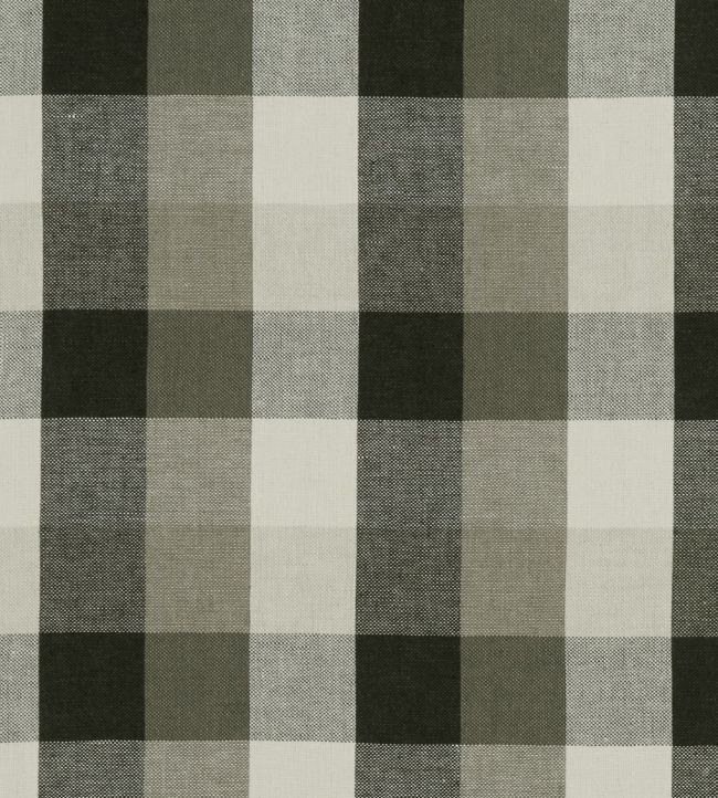 Austin Check Fabric by Clarke & Clarke Charcoal