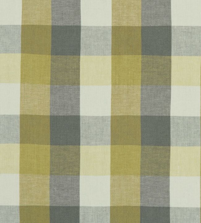 Austin Check Fabric by Clarke & Clarke Citron/Natural