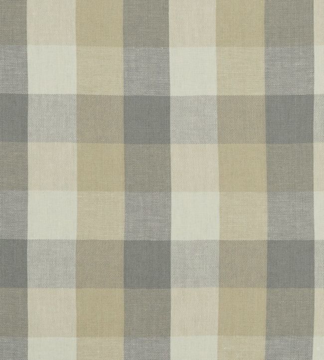 Austin Check Fabric by Clarke & Clarke Natural