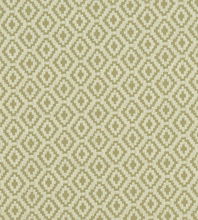Keaton Fabric by Clarke & Clarke Olive