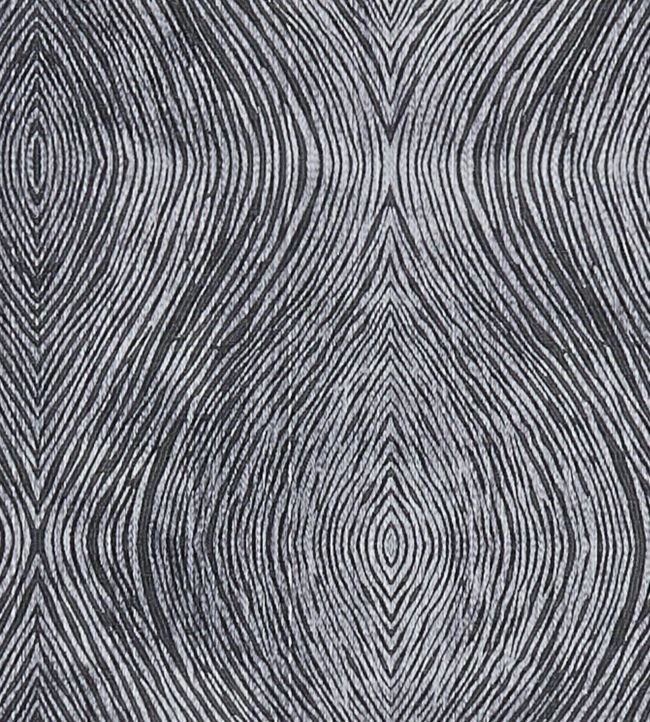 Luster Fabric by Clarke & Clarke Charcoal
