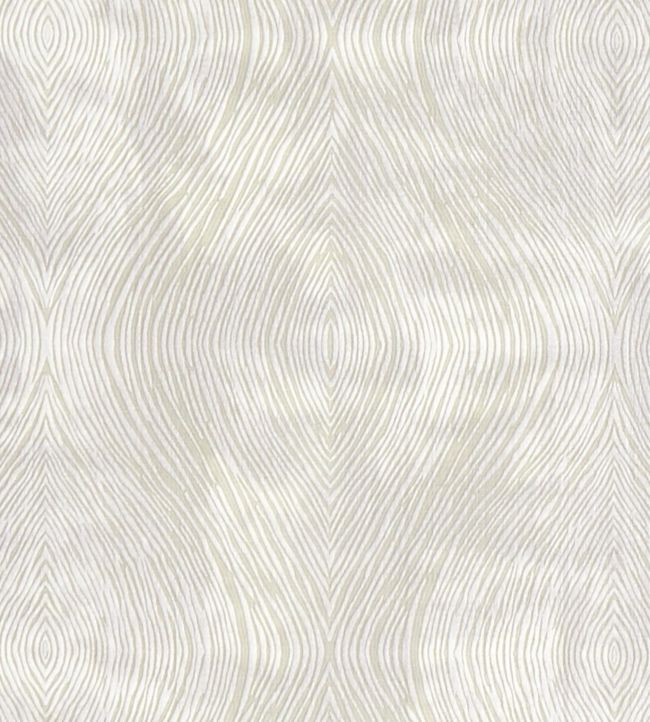 Luster Fabric by Clarke & Clarke Ivory