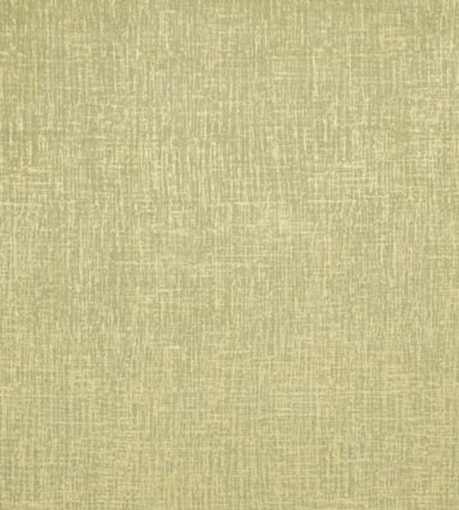 Patina Fabric by Clarke & Clarke Citrus