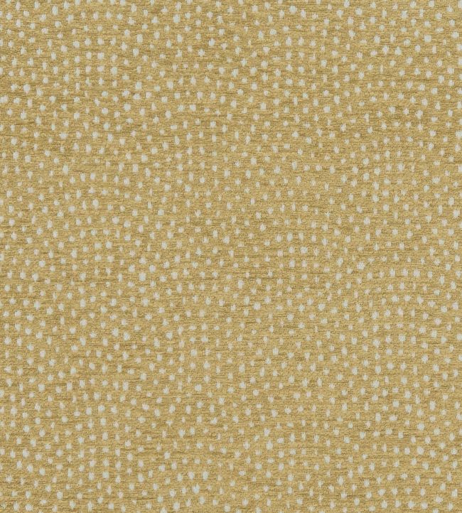 Nebula Fabric by Clarke & Clarke Antique
