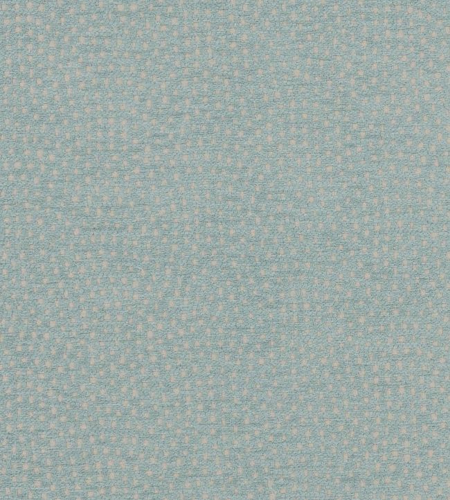 Nebula Fabric by Clarke & Clarke Duckegg