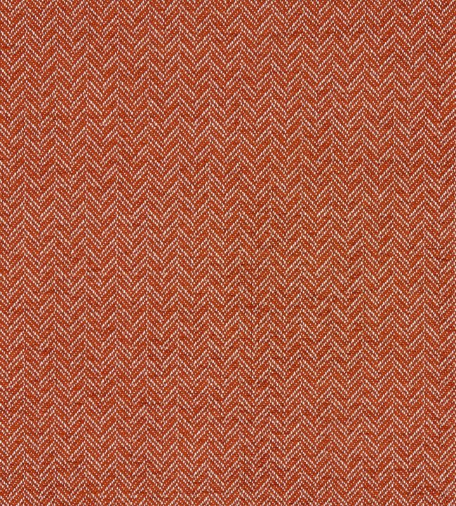 Trinity Fabric by Clarke & Clarke Spice