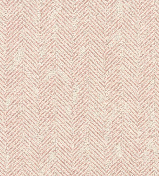 Ashmore Fabric by Clarke & Clarke Blush
