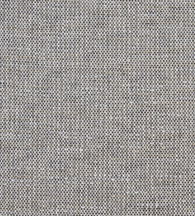 Louis Fabric by Clarke & Clarke Charcoal