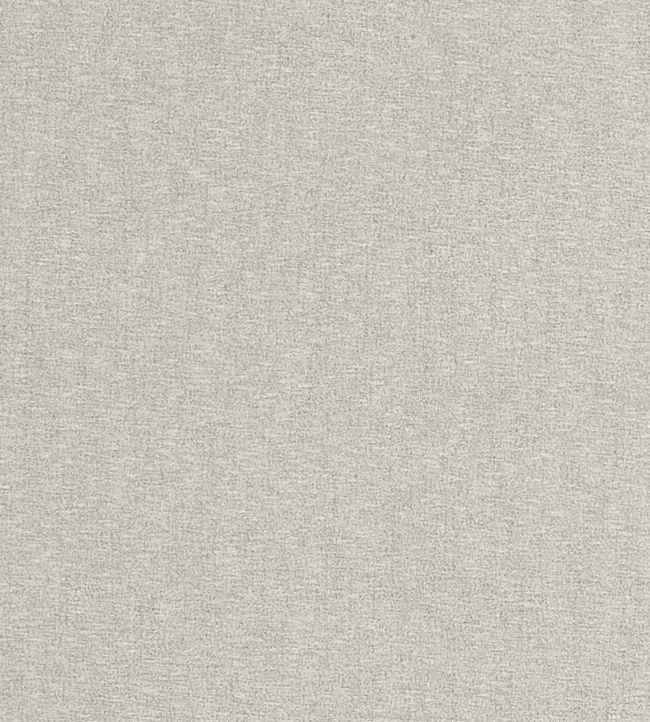 Atmosphere Fabric by Clarke & Clarke Ivory