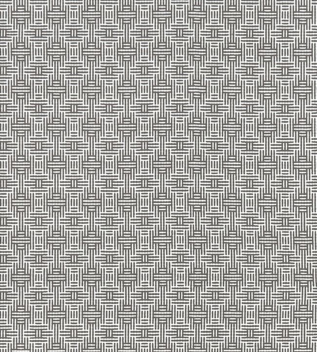 Aztec Fabric by Clarke & Clarke Charcoal