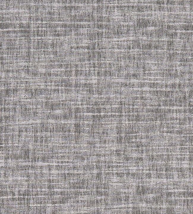 Mizo Fabric by Clarke & Clarke Charcoal