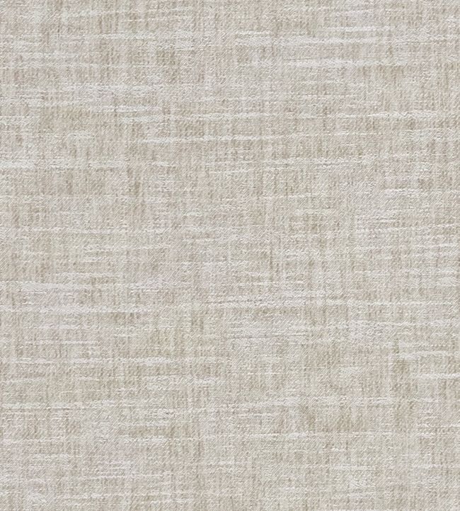 Mizo Fabric by Clarke & Clarke Ivory/linen