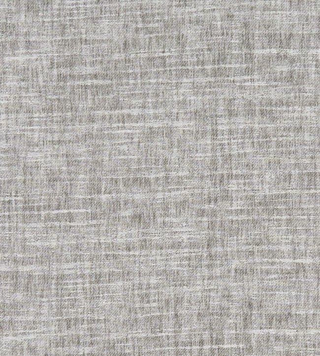Mizo Fabric by Clarke & Clarke Silver