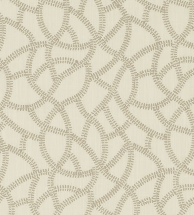 Panache Fabric by Clarke & Clarke Ivory