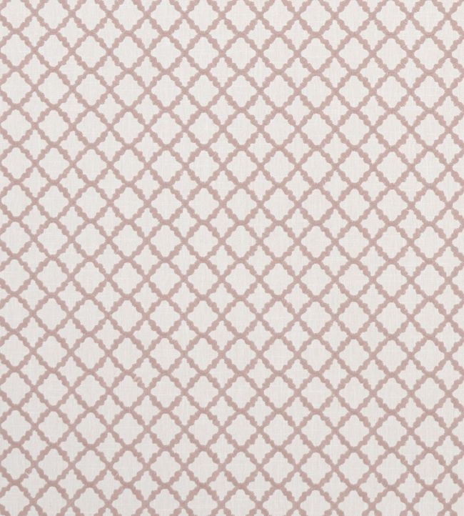 Ariyana Fabric by Clarke & Clarke Blush