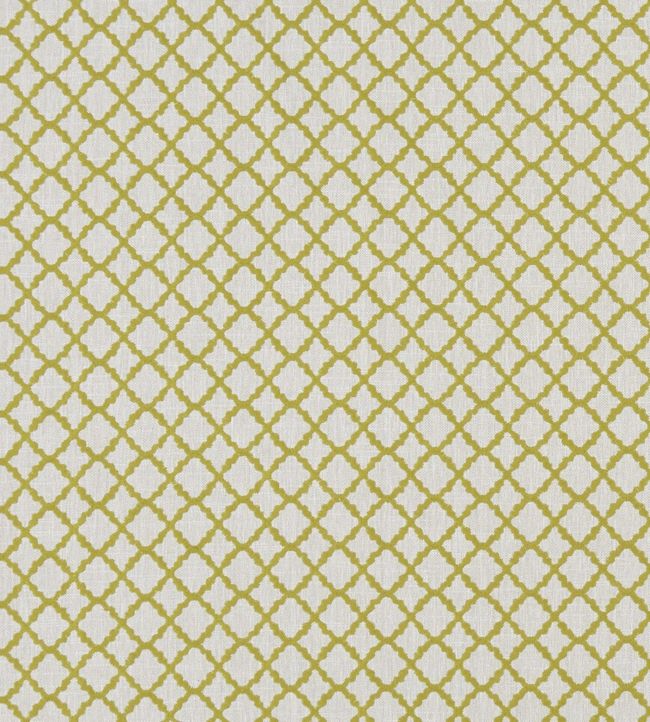 Ariyana Fabric by Clarke & Clarke Chartreuse