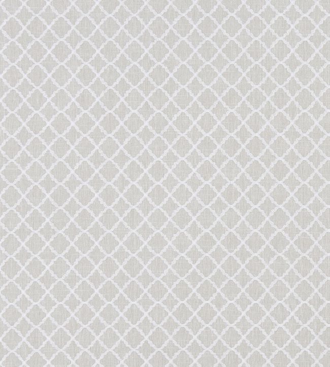 Ariyana Fabric by Clarke & Clarke Ivory