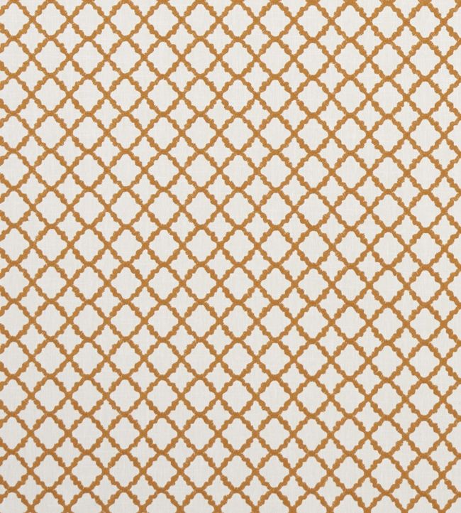 Ariyana Fabric by Clarke & Clarke Spice