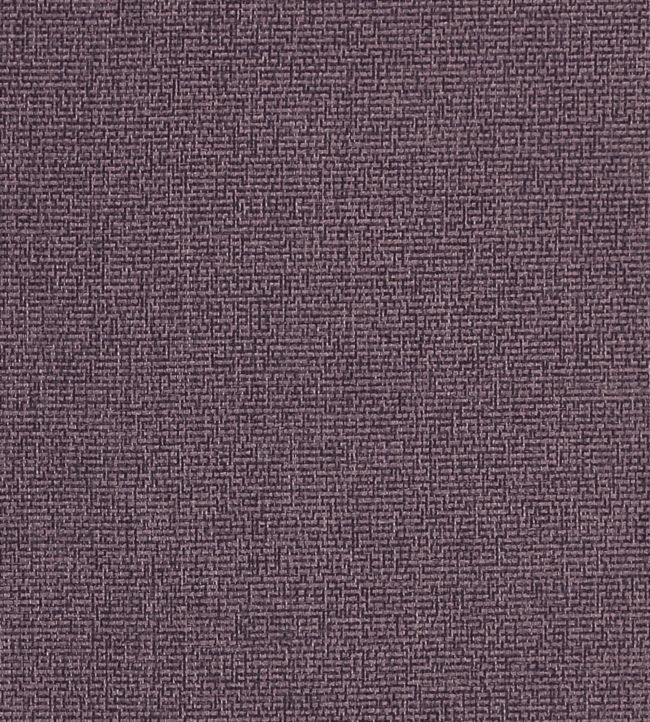 Acies Fabric by Clarke & Clarke Amethyst