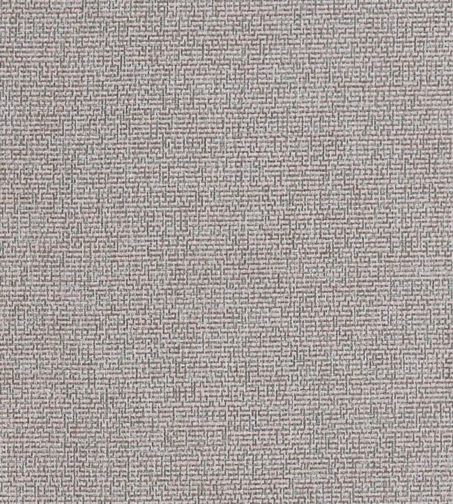 Acies Fabric by Clarke & Clarke Blush