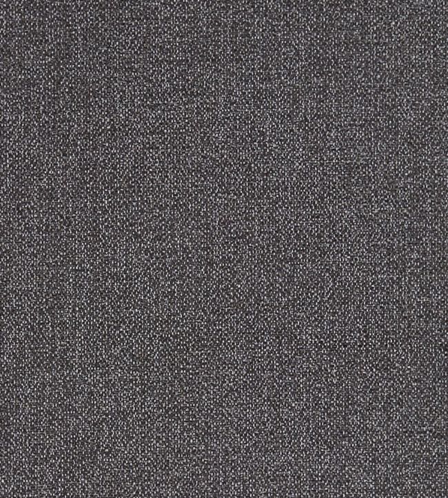 Acies Fabric by Clarke & Clarke Charcoal