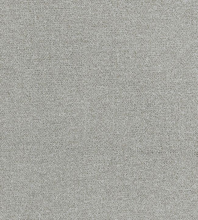Acies Fabric by Clarke & Clarke Silver